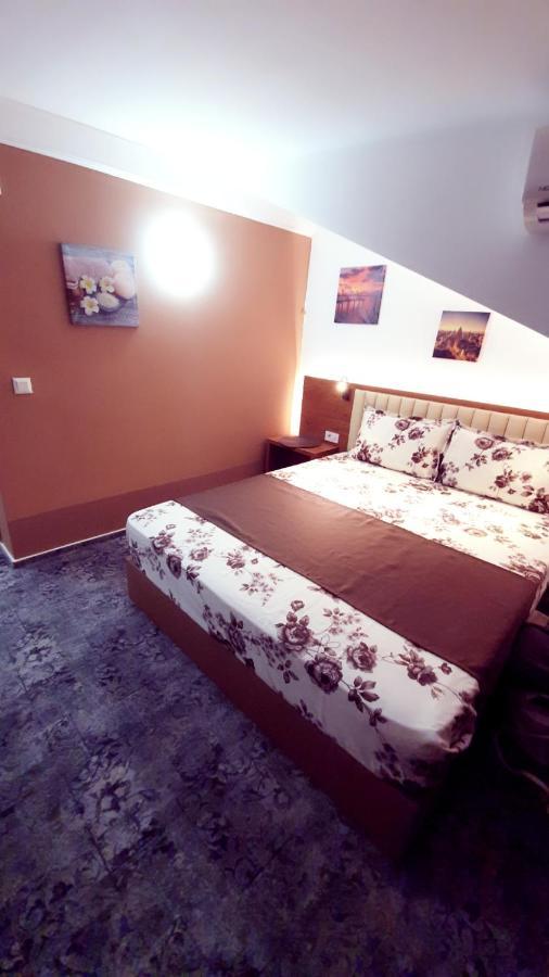 Stay Inn Rediu Valea Lupului  エクステリア 写真