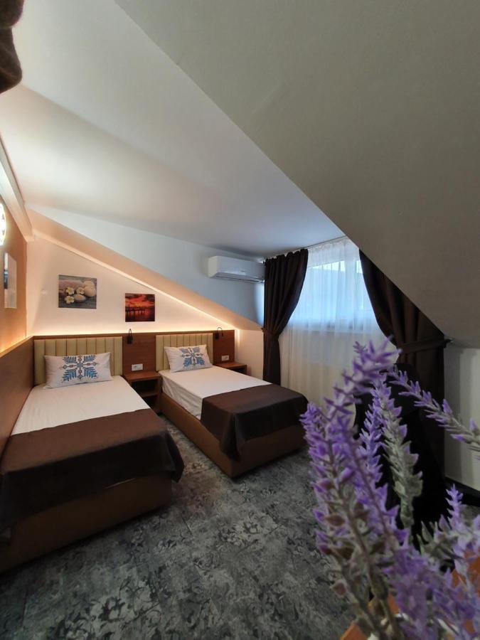 Stay Inn Rediu Valea Lupului  エクステリア 写真
