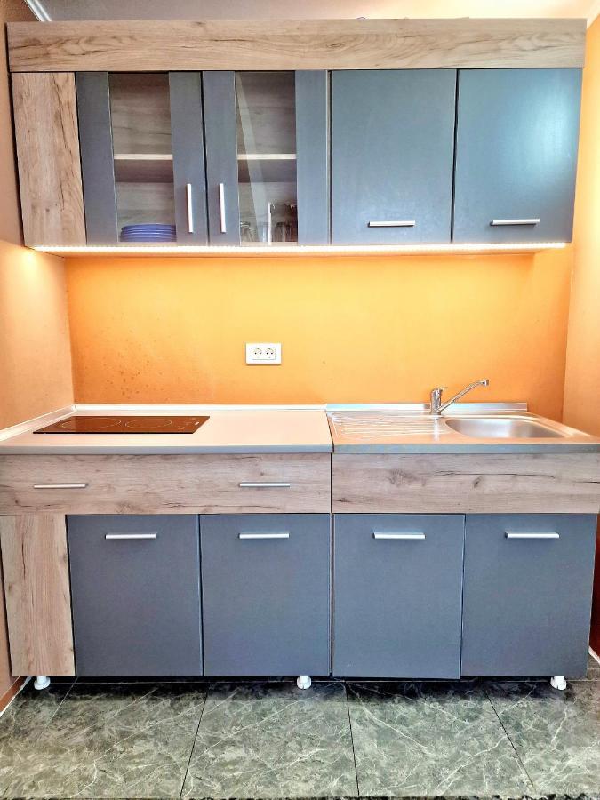 Stay Inn Rediu Valea Lupului  エクステリア 写真